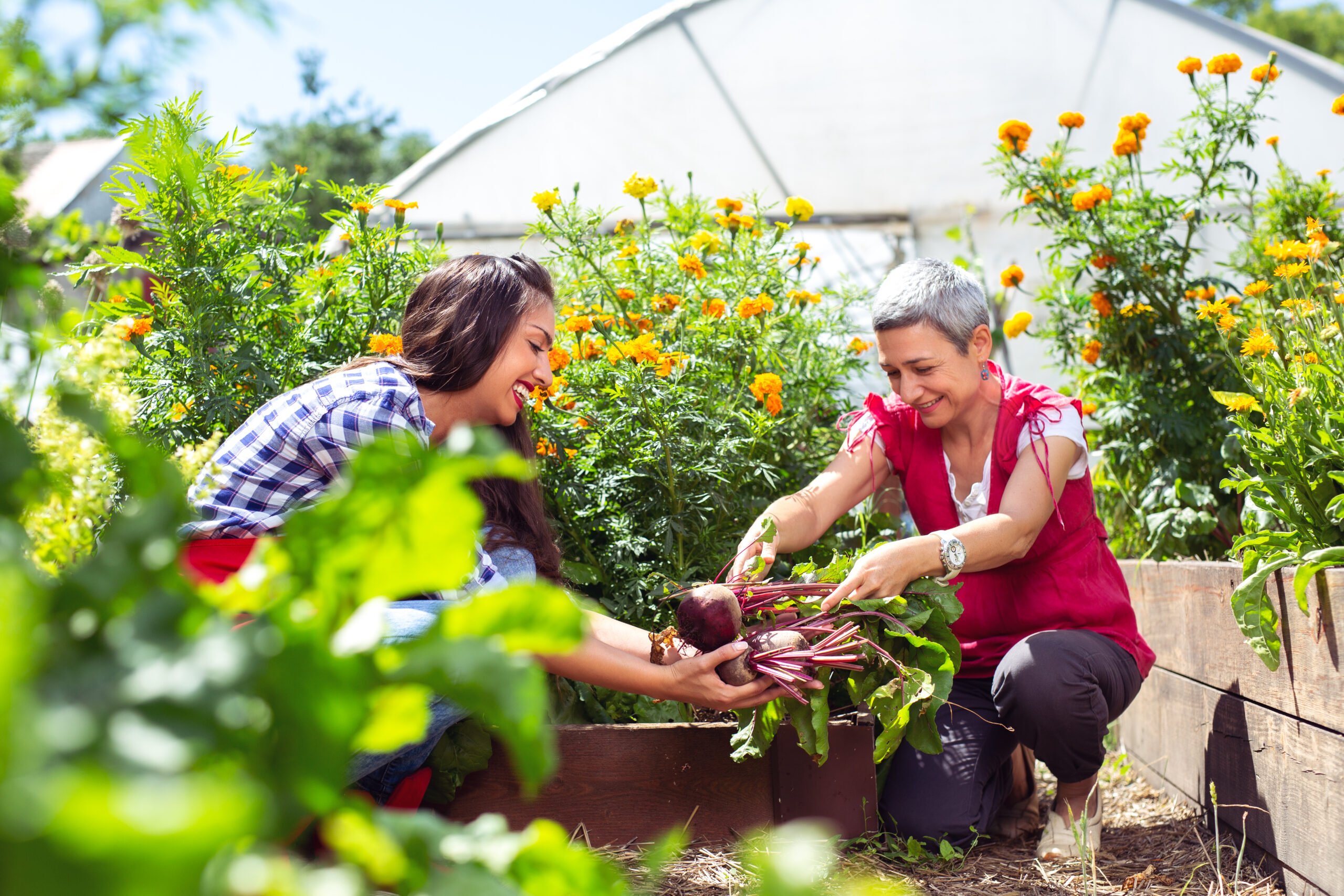 Everything You Need to Know About USDA Rural Development Loan Requirements